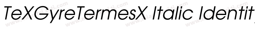 TeXGyreTermesX Italic Identity H字体转换